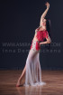 Professional bellydance costume (classic 194a)